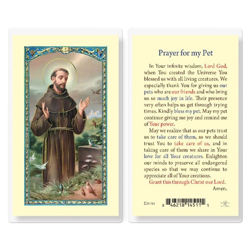 Prayer for my Pet - St. Francis of Assisi Prayer Card | The Catholic ...