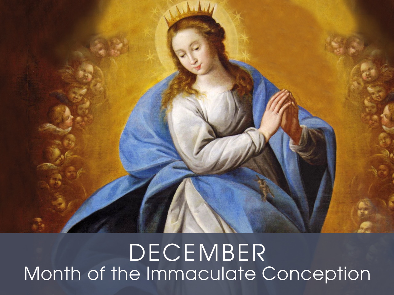 Month of the the Immaculate Conception