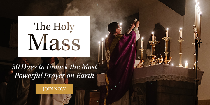 Good Catholic The Holy Mass Series