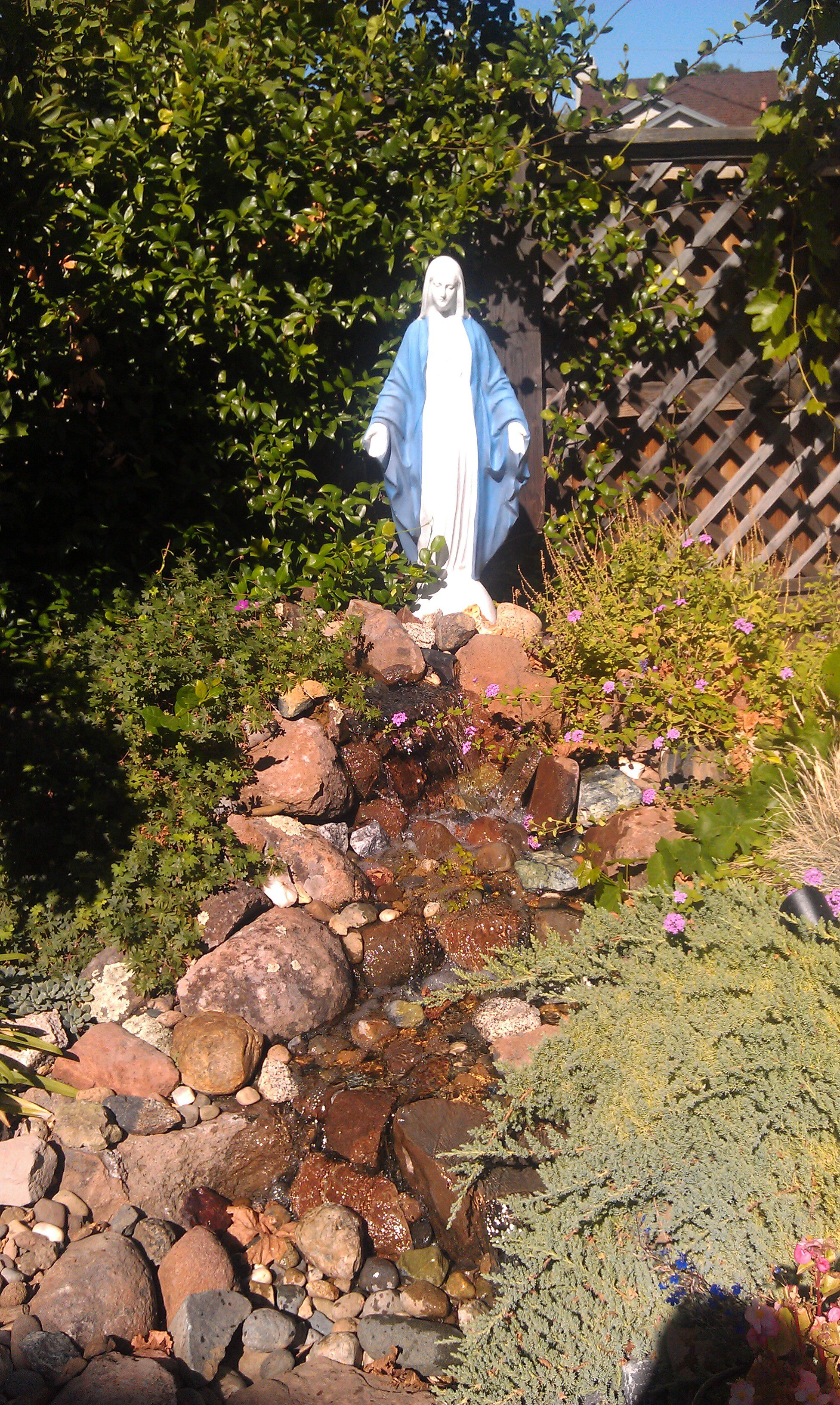 Backyard grotto mary