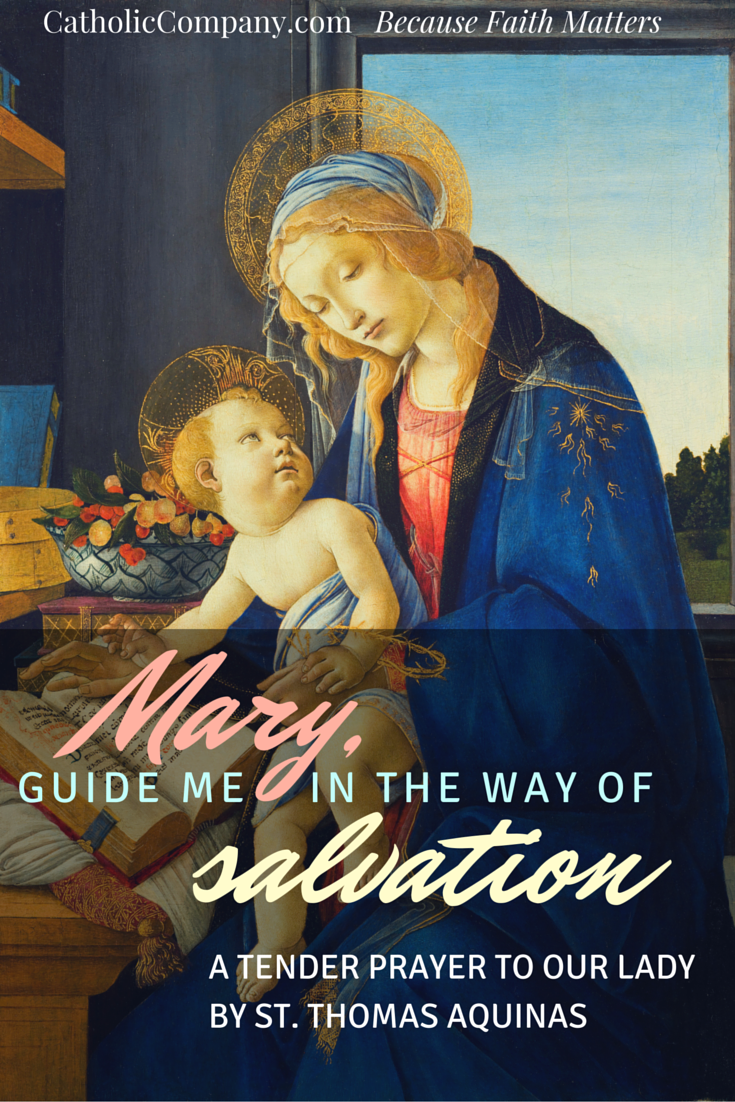 Aquinas followed both his head and his heart. Along with being a brilliant scholar he fostered a tender devotions to the Virgin Mary.