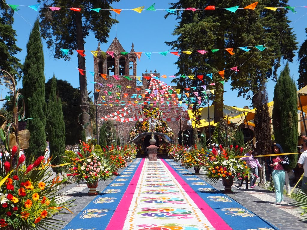 alfombra