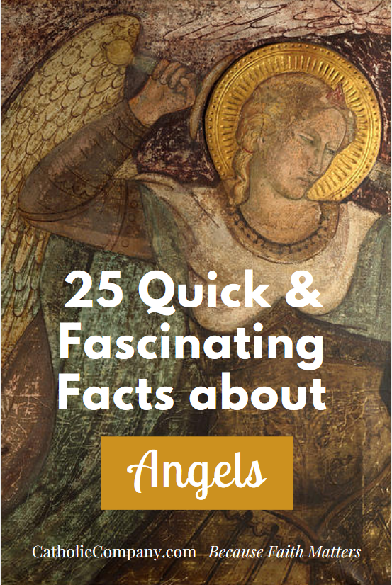 I've only got about five fun facts about the Angels. This might be