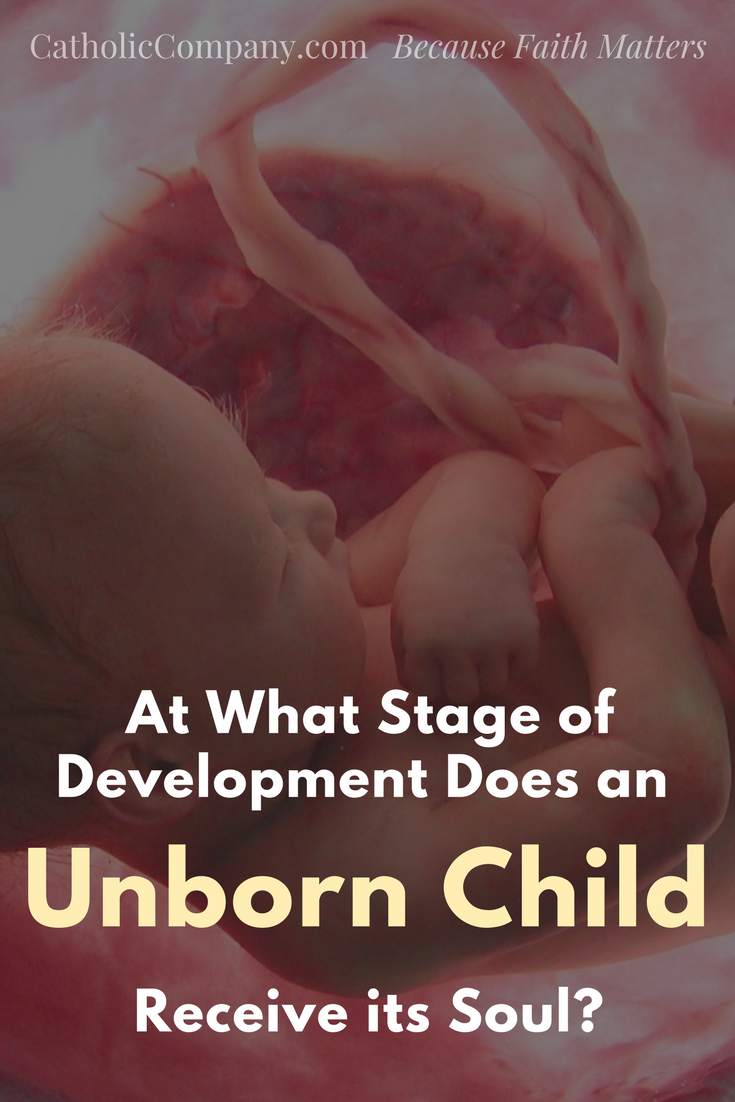 At What Stage of Development Does an Unborn Child Receive its Soul The Catholic answer.