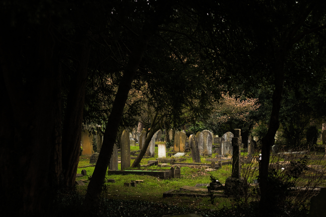 Old cemetery