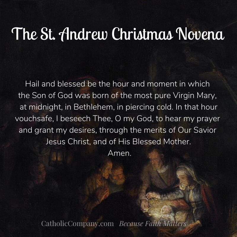 St Andrew Christmas Novena Prayer. Pray his 15 times a day from November 30th to December 24th.